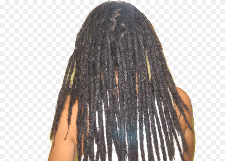 Dreadlocks Auckland Dreadlocks, Adult, Female, Person, Woman Free Png Download