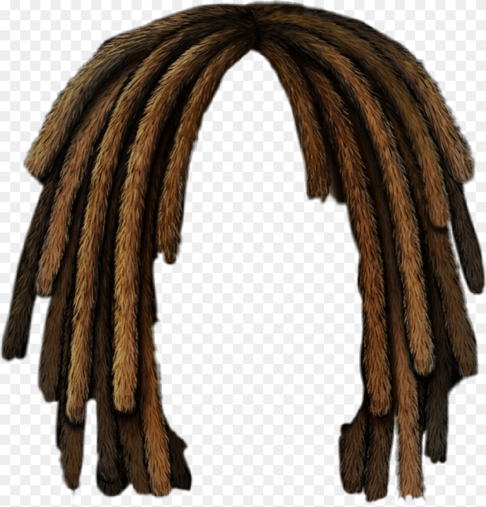 Dreadlocks Stickers Download Dreadlocks, Animal, Invertebrate, Spider, Adult Free Png