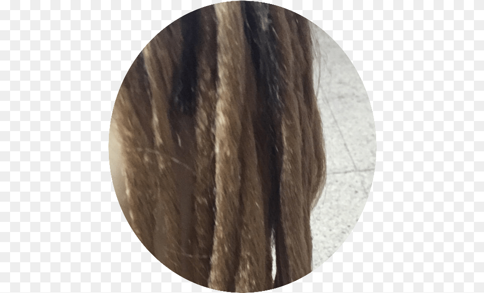 Dreadlocks Wig Lace Wig, Photography, Adult, Female, Person Free Transparent Png