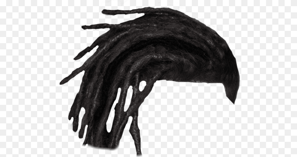 Dreads Dreadlocks Sketch, Adult, Female, Person, Woman Free Transparent Png