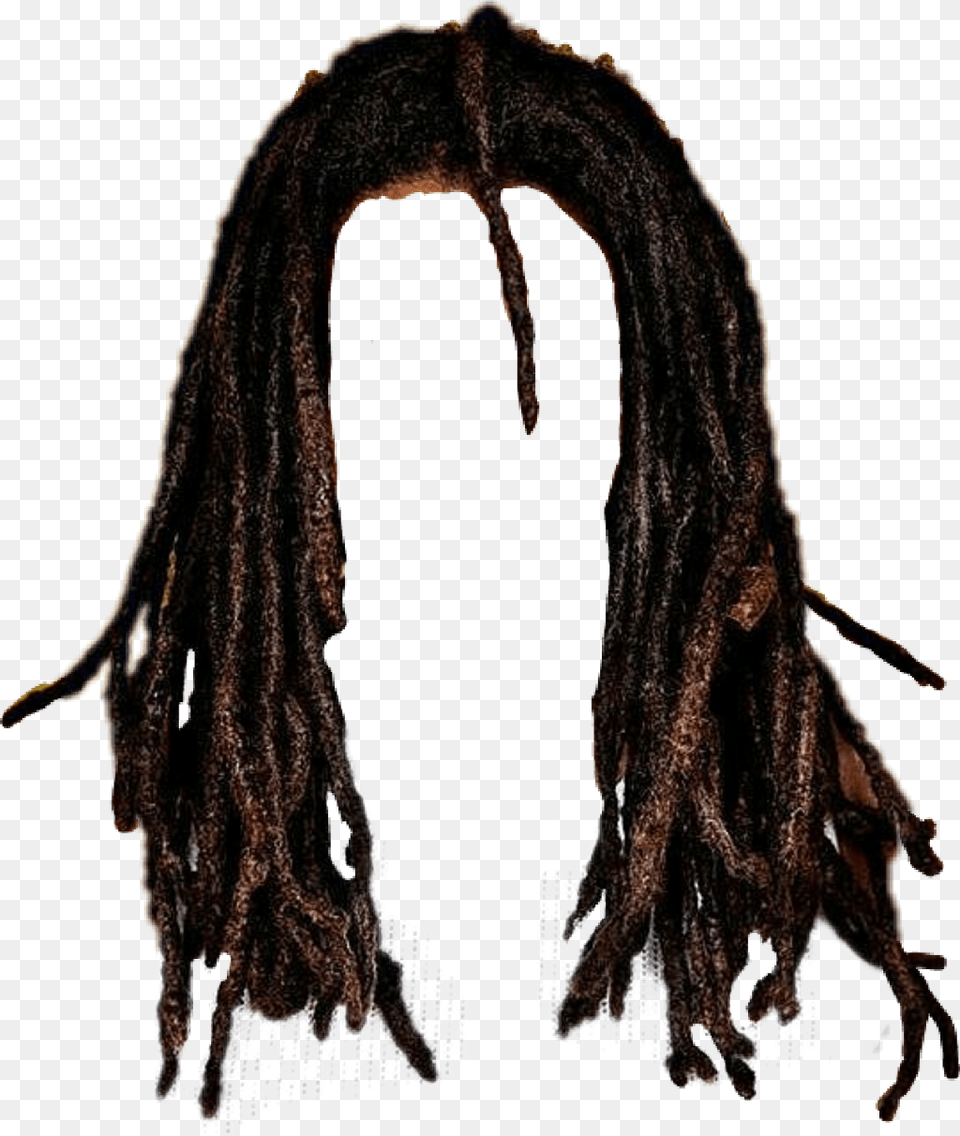 Dreads Dreadwig Black Man Dreads And Beard, Adult, Female, Person, Woman Free Png Download