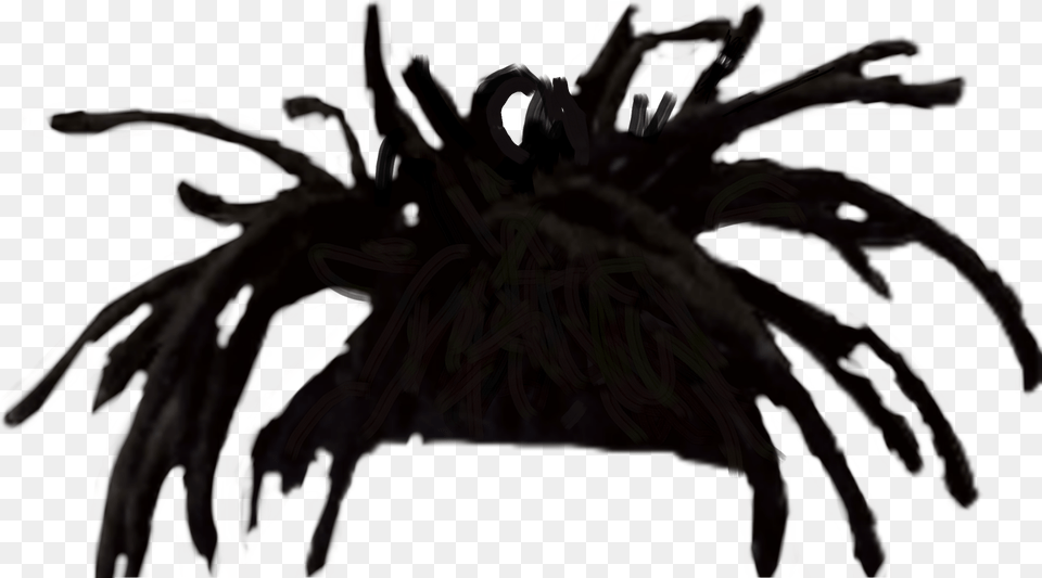 Dreads Hair Freetoedit Dreadlocks, Animal, Invertebrate, Spider, Bicycle Free Png