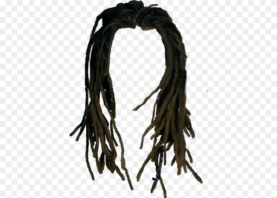 Dreads Hair Freetoedit Report Transparent Background Dreadlocks, Adult, Female, Person, Woman Free Png Download