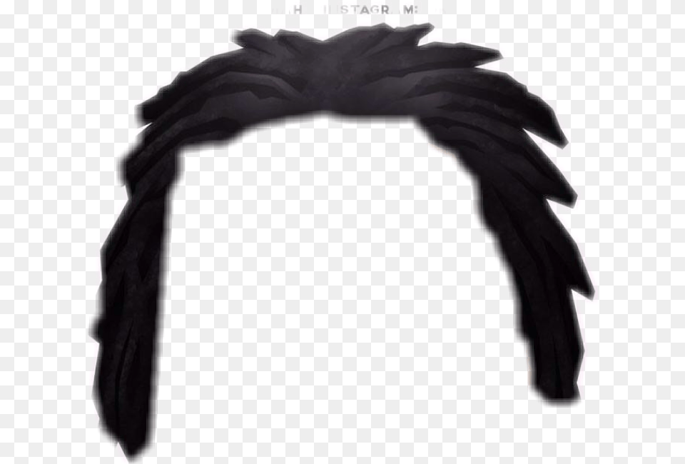 Dreads Transparent Dreads Sticker, Clothing, Coat, Animal, Bird Free Png