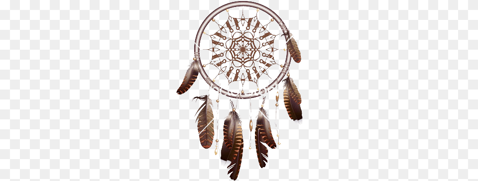 Dream Catcher Dreamcatcher, Accessories, Earring, Jewelry, Chandelier Free Transparent Png