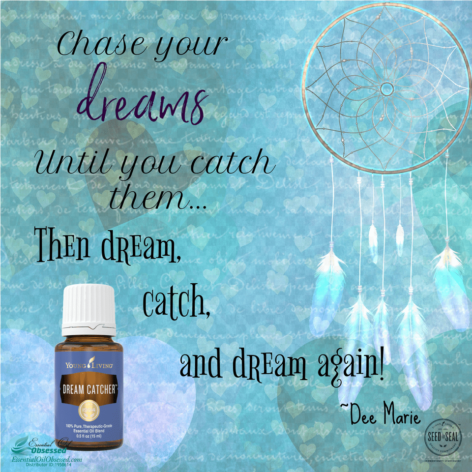 Dream Catcher Essential Oil Blend My Dream Journal, Adult, Person, Female, Woman Png Image