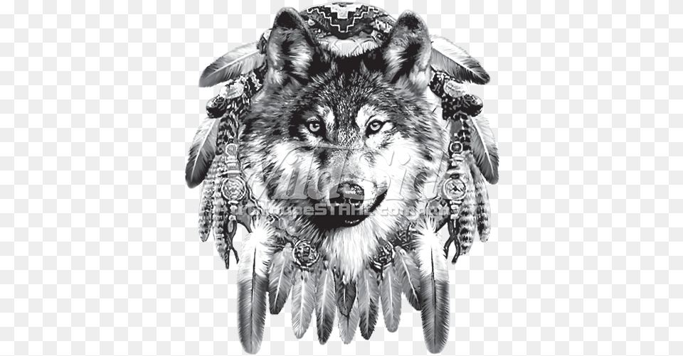 Dream Catcher Wolf Wolf Dream Catcher, Animal, Mammal, Canine, Dog Png