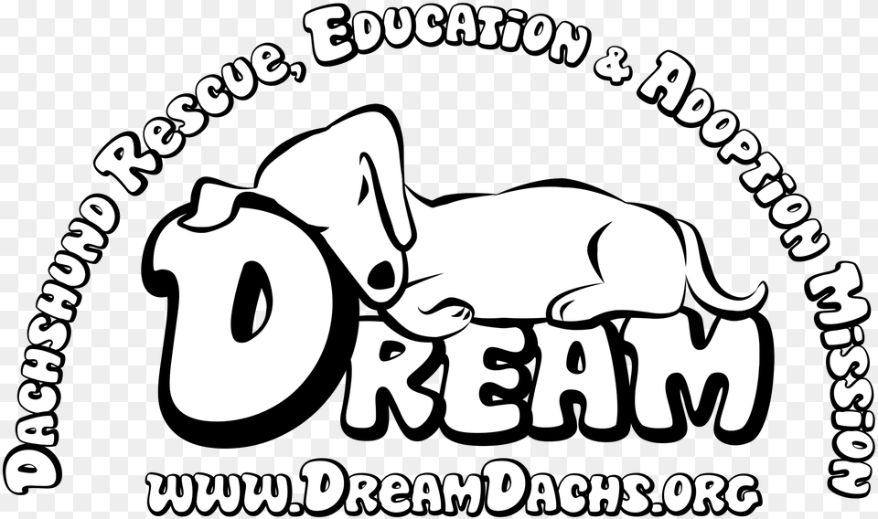 Dream Dachshund Rescue Education Amp Adoption Mission Drawing, Advertisement, Animal, Bear, Mammal Free Png