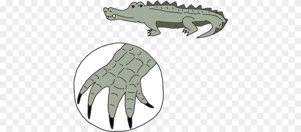Dream Dictionary Meaning Alligator American Crocodile, Electronics, Hardware, Hook, Claw Free Png