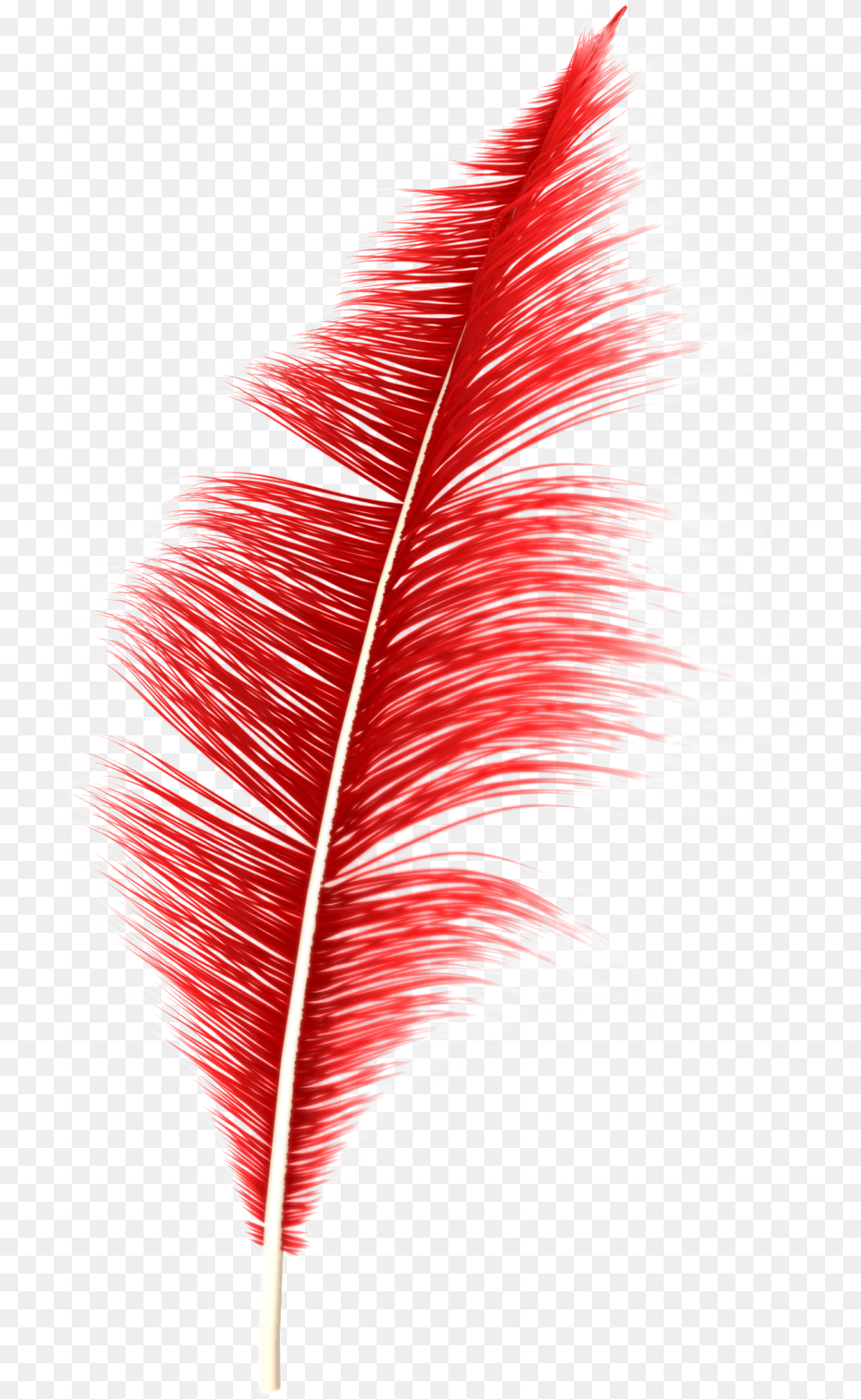 Dream Feather Feather, Leaf, Plant, Bottle Free Png Download