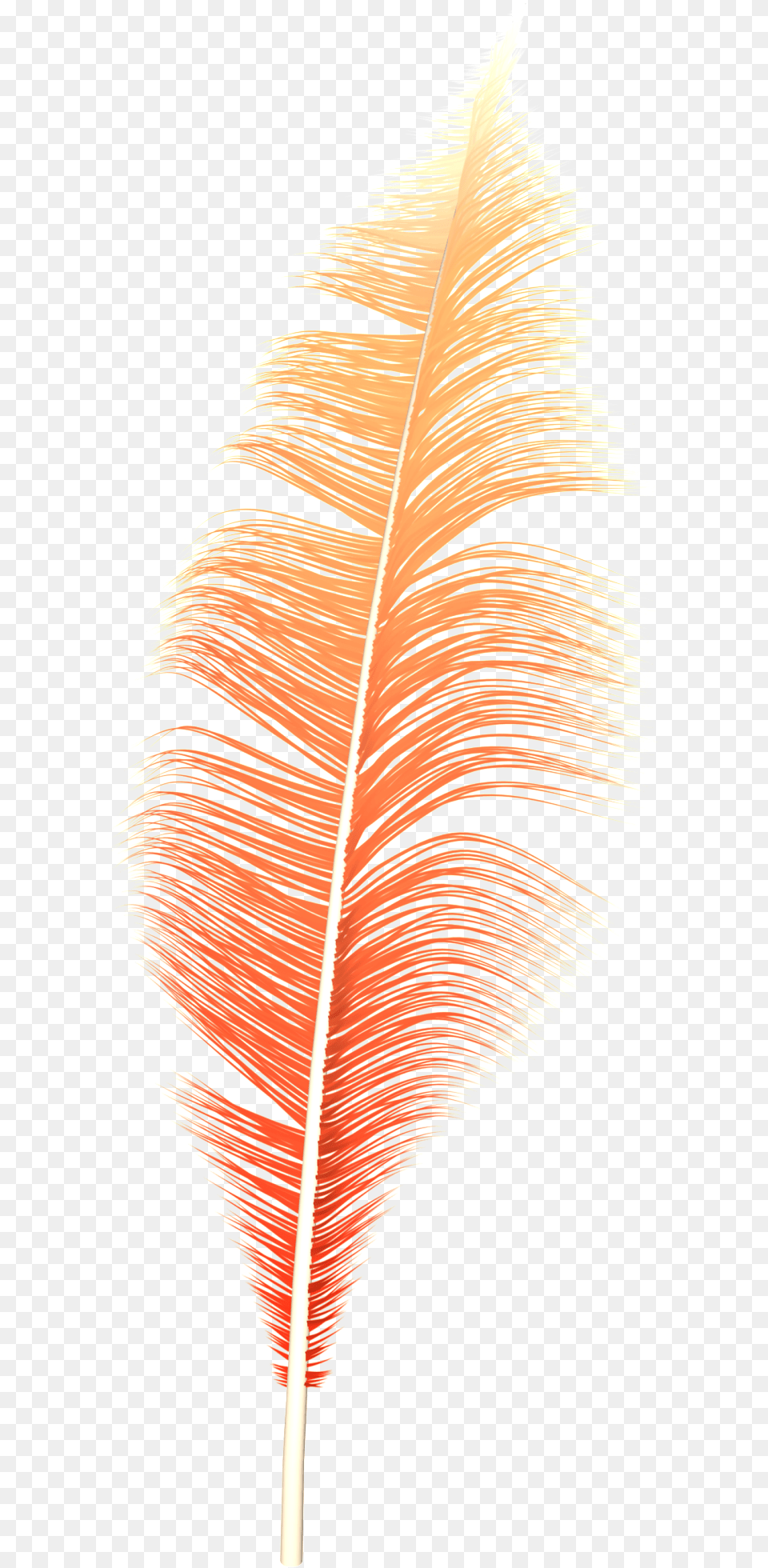Dream Feather Portable Network Graphics, Leaf, Plant, Reed, Animal Png