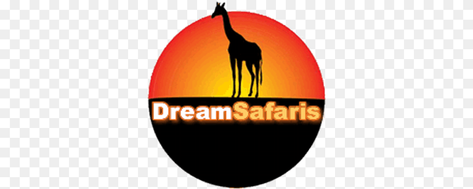 Dreamsafaris Giraffe, Animal, Mammal, Antelope, Wildlife Free Png