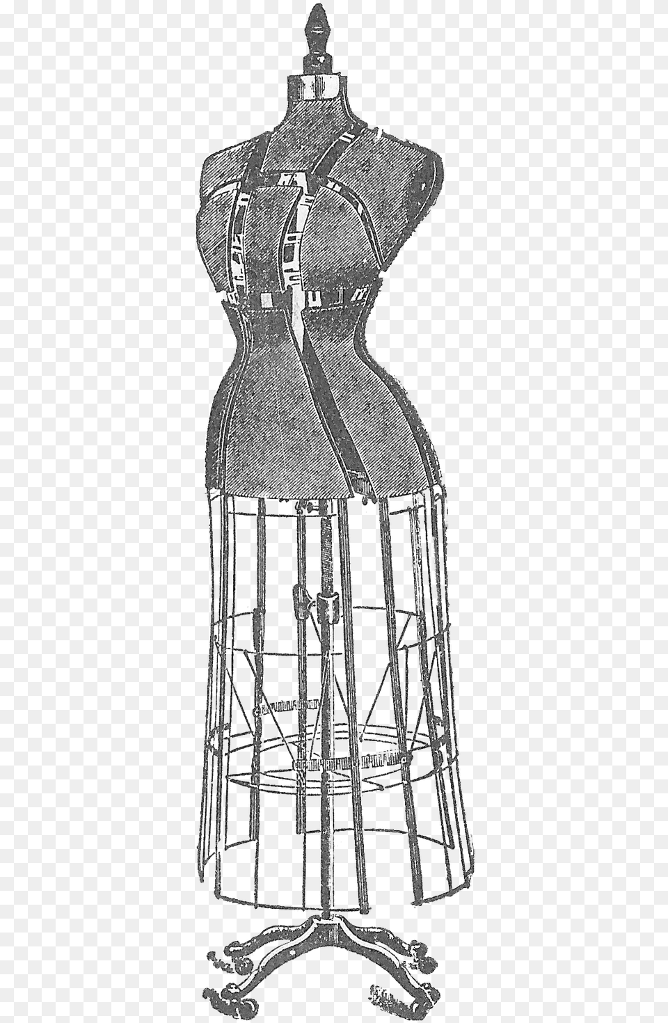 Dress Form, Adult, Bride, Female, Person Png