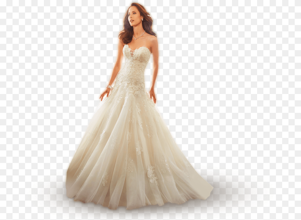 Dress Wedding Dress, Clothing, Fashion, Formal Wear, Gown Free Png Download