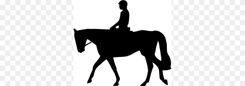 Dressage Silhouette, Mammal, Animal, Horse Png
