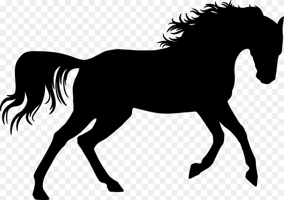 Dressage Horse Silhouette, Gray Png