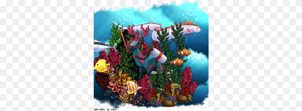 Dressed Pet Floral Design, Water, Sea, Nature, Outdoors Png Image