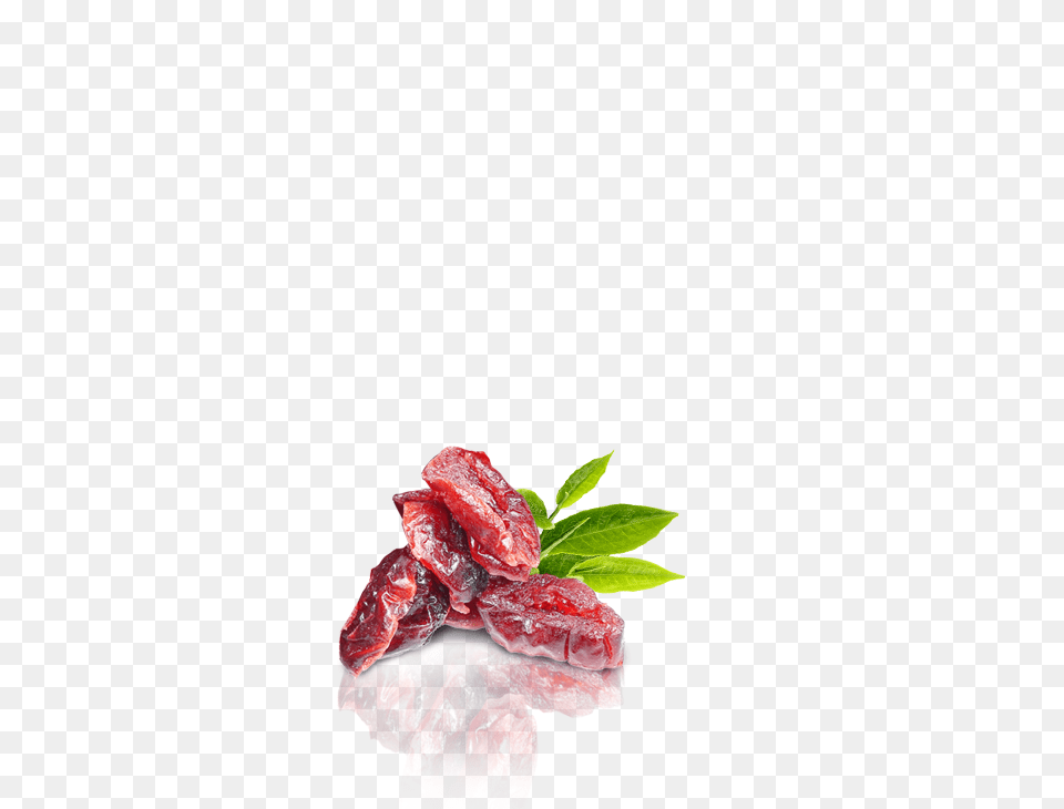 Dried Cranberries Rosa Glauca, Leaf, Plant, Food, Meat Free Transparent Png