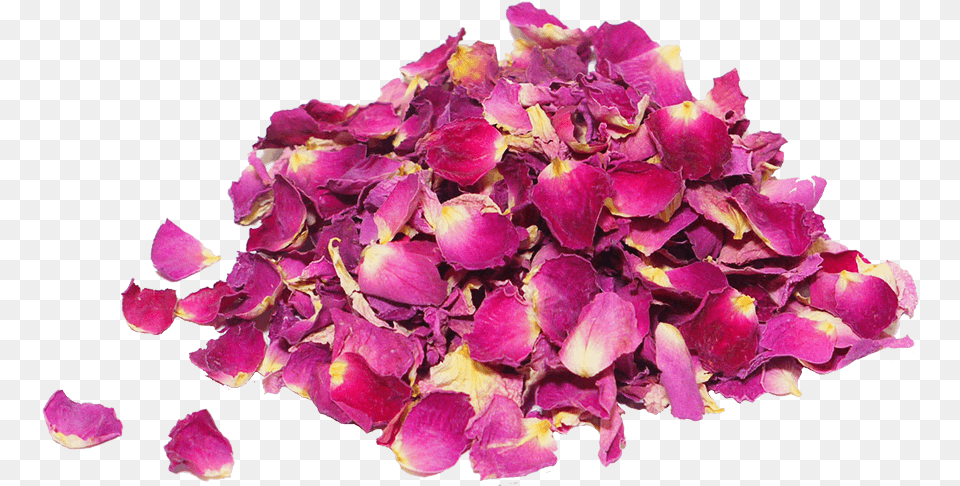 Dried Damask Rose Petals, Flower, Petal, Plant, Flower Arrangement Free Transparent Png