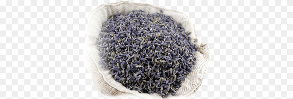 Dried Lavender Grains Does Dried Lavender Buds Look Like, Flower, Plant Free Png Download