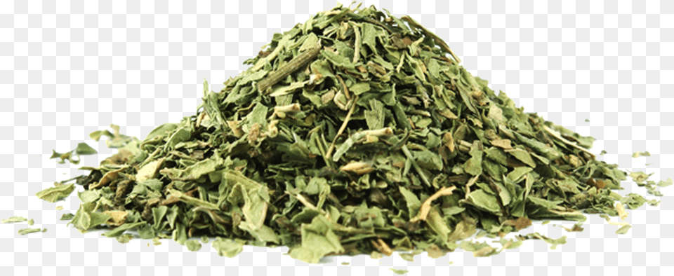 Dried Mint Khushk Podina, Herbal, Herbs, Plant Free Png