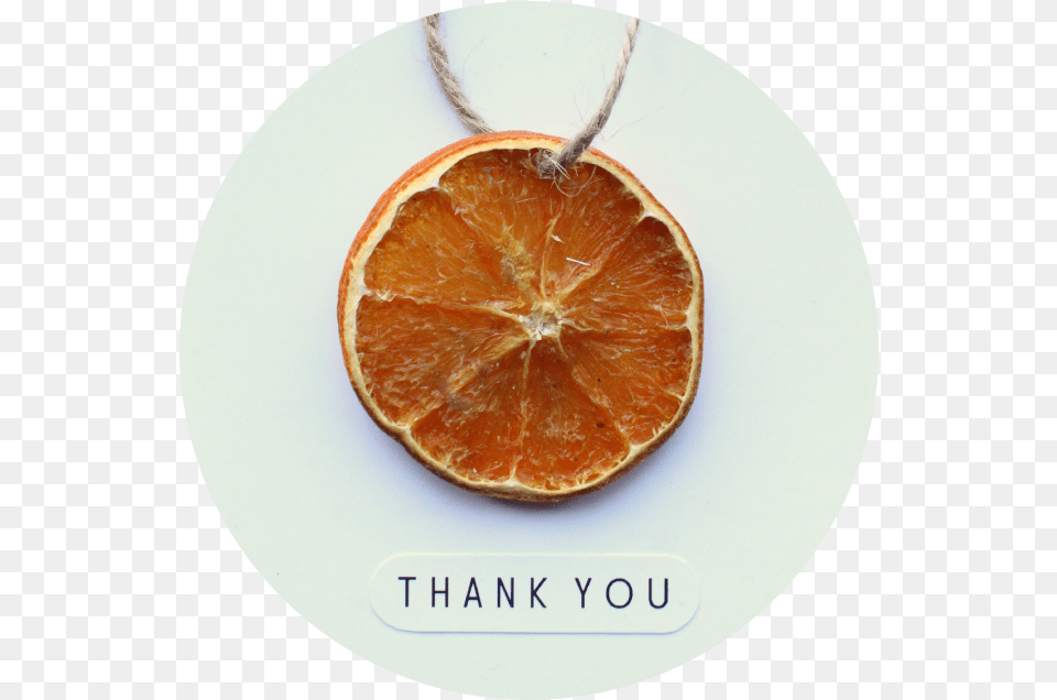 Dried Orange Slice Card Shelley Makes Clementine, Citrus Fruit, Food, Fruit, Grapefruit Free Png