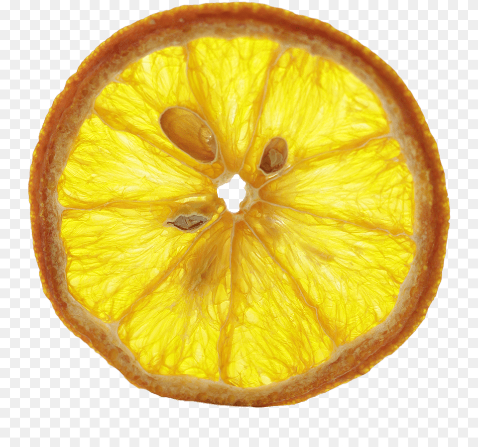 Dried Orange Transparent, Citrus Fruit, Food, Fruit, Plant Free Png