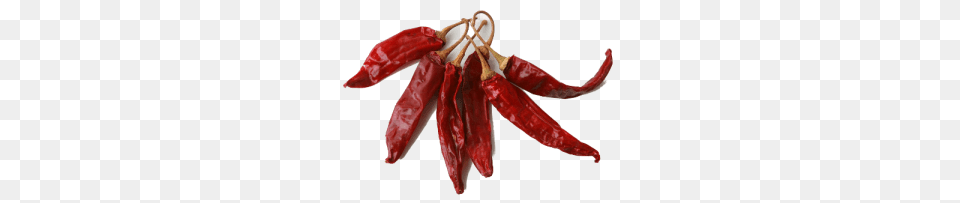 Dried Red Chili, Smoke Pipe, Vegetable, Produce, Plant Free Transparent Png