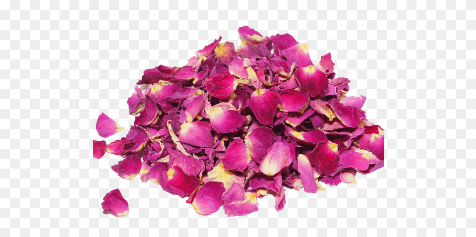 Dried Rose Petals Foodbiotic Rose Pink Dry, Flower, Petal, Plant, Flower Arrangement Png