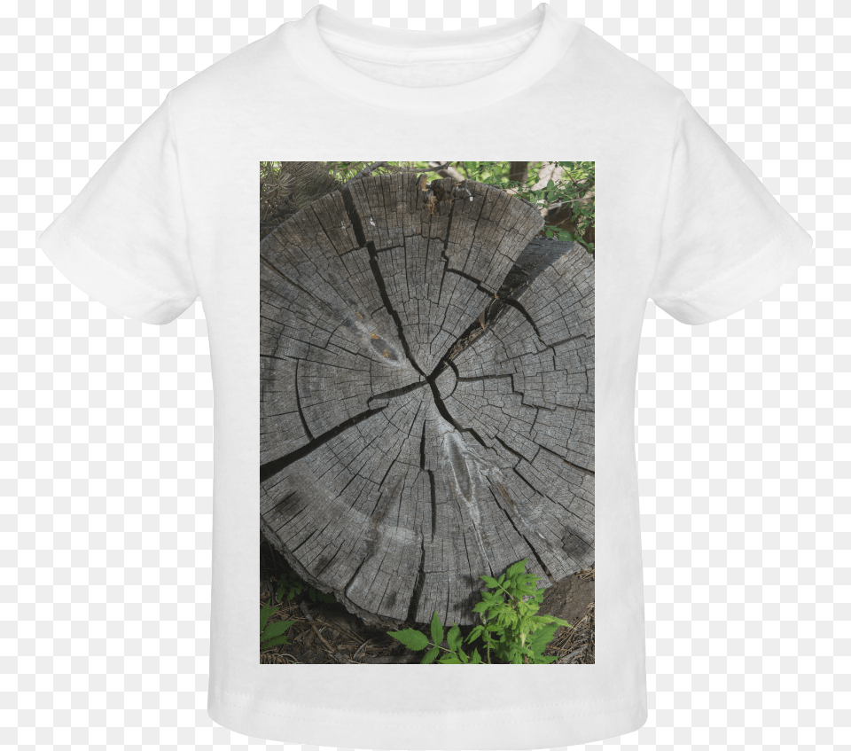 Dried Tree Stump Sunny Youth T Shirt Tree Stump, Clothing, Plant, T-shirt, Person Free Transparent Png