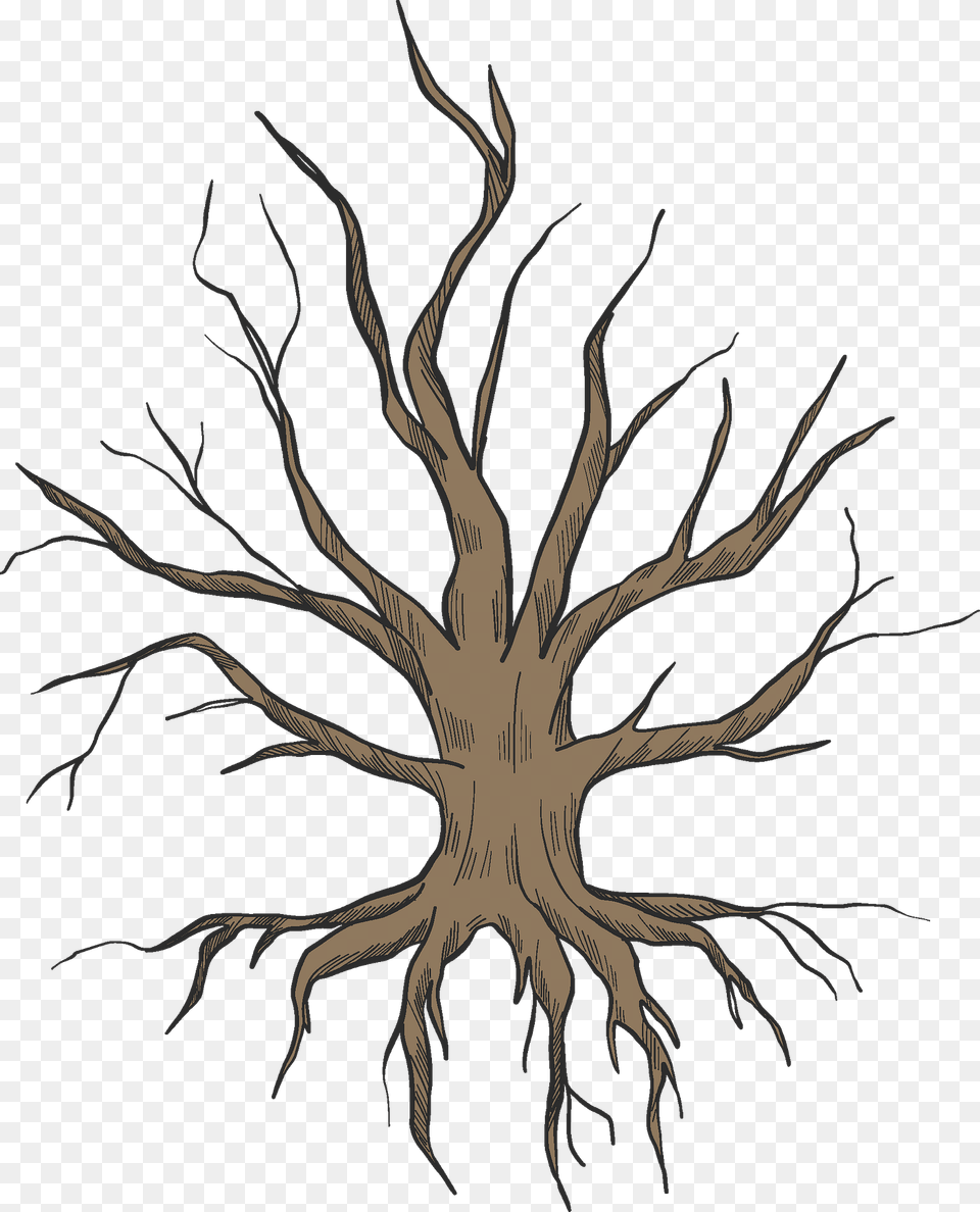 Dried Up Tree With Roots Clipart, Plant, Root, Art, Wood Free Png Download