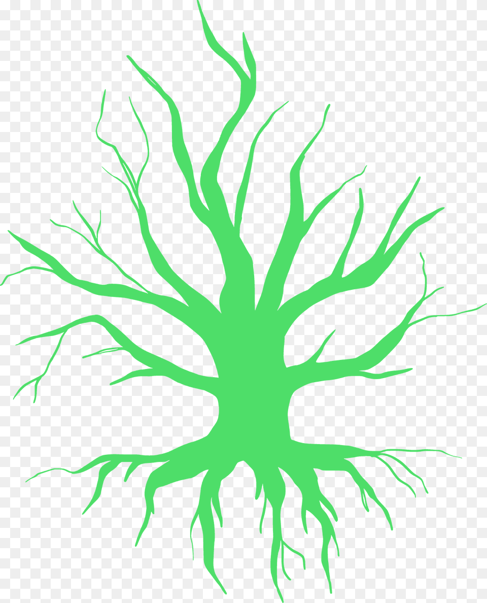 Dried Up Tree With Roots Silhouette, Pattern, Accessories, Ornament, Plant Free Transparent Png