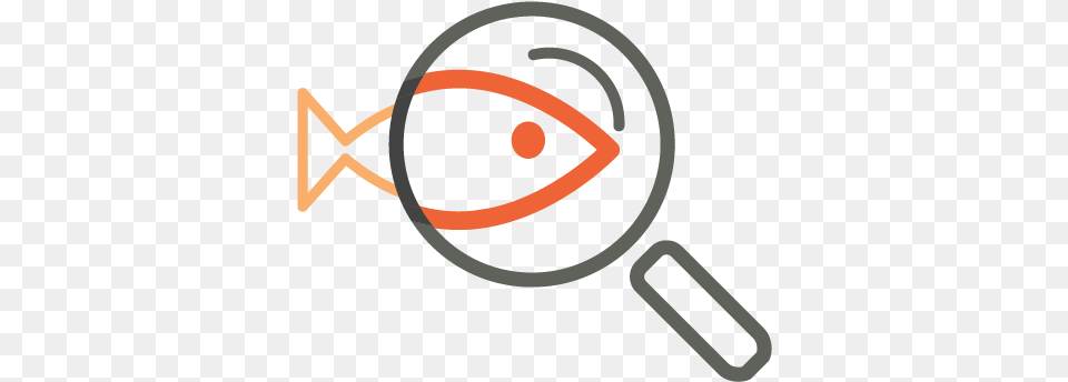 Driftlessfishicons 02 Circle, Magnifying Free Transparent Png