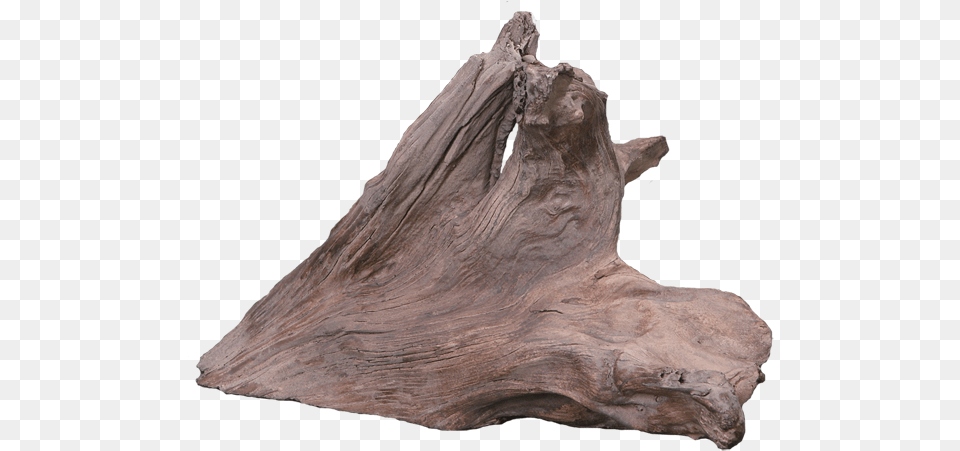 Driftwood 1 Solid, Wood, Tree, Plant, Person Free Png