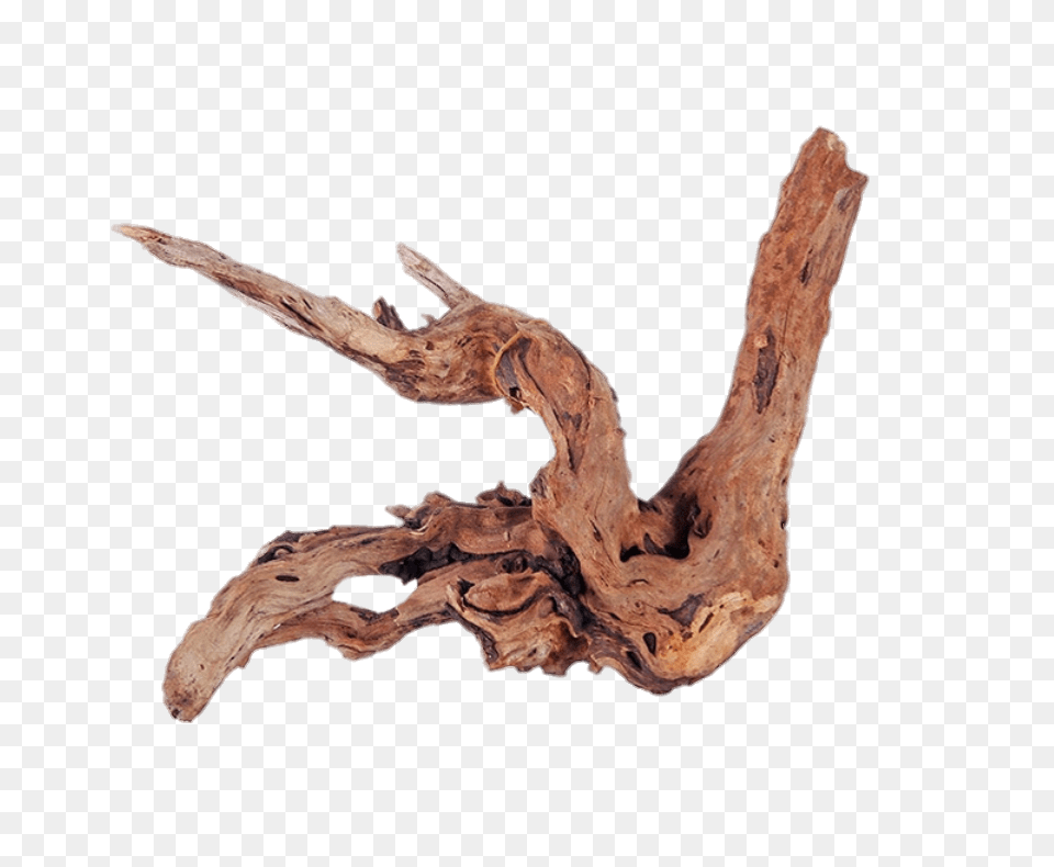 Driftwood, Wood, Animal, Dinosaur, Reptile Png