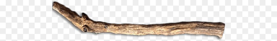 Driftwood, Wood, Stick Free Png Download