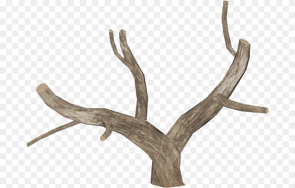 Driftwood, Antler, Wood, Bow, Weapon Png Image