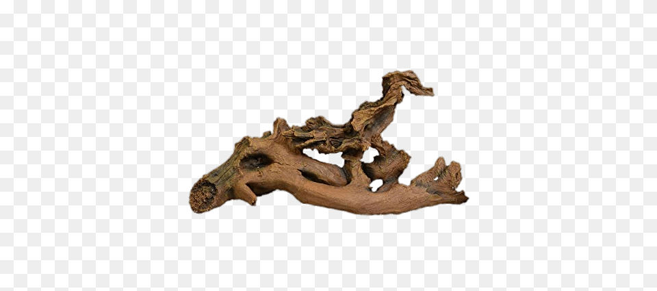 Driftwood Aquarium Ornament, Wood, Animal, Kangaroo, Mammal Png