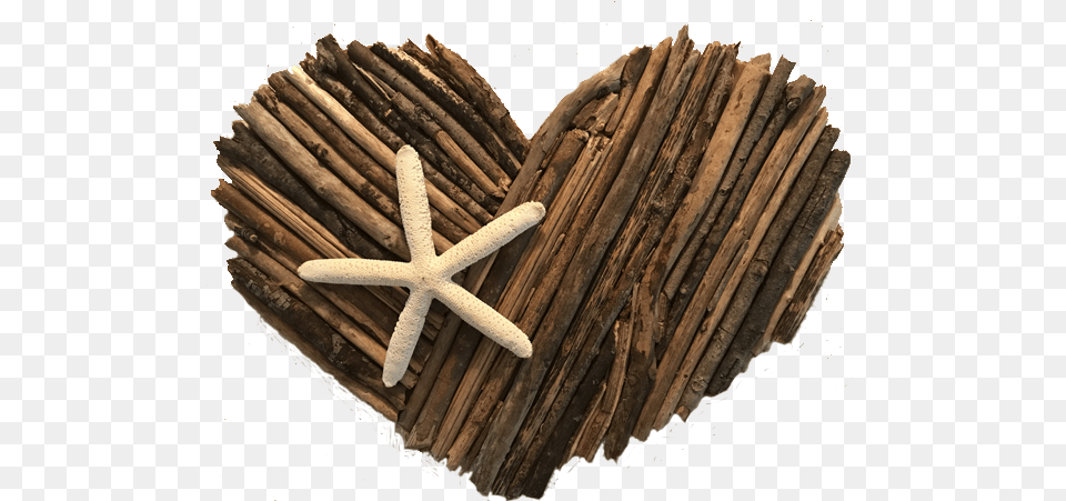 Driftwood Christmas Tree Wood, Animal, Sea Life Png Image