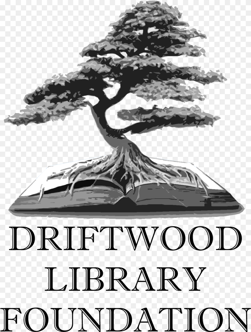 Driftwood Library Foundation Sageretia Theezans, Book, Plant, Potted Plant, Publication Free Transparent Png