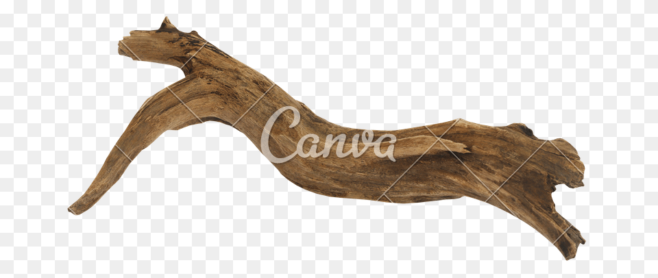 Driftwood Over White Background, Wood, Bow, Weapon Free Png