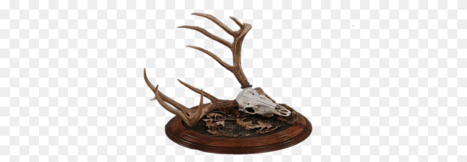 Driftwood Transparent Image Antler, Smoke Pipe, Wood Free Png