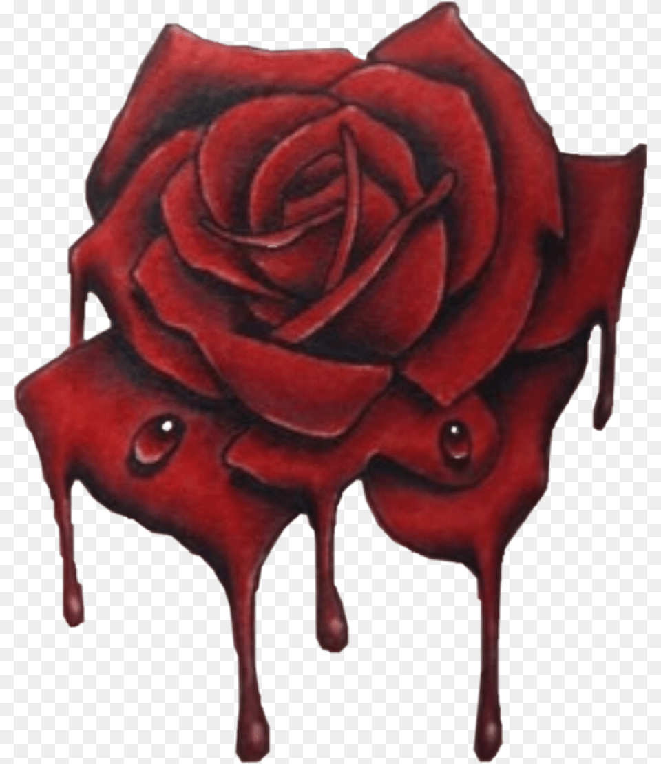Dripping Red Rose Tattoo, Flower, Plant, Maroon, Animal Png