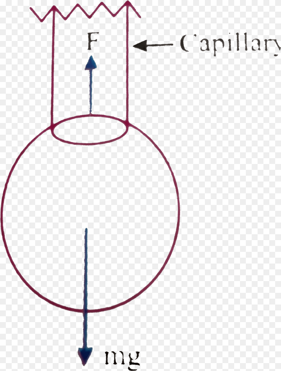 Drips, Hoop, Chart, Plot Free Png Download