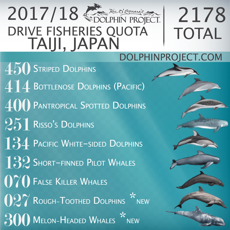 Drive Fisheries Quota Taiji Japan Taiji Japan Dolphin Slaughter 2018, Advertisement, Poster, Animal, Mammal Free Png Download