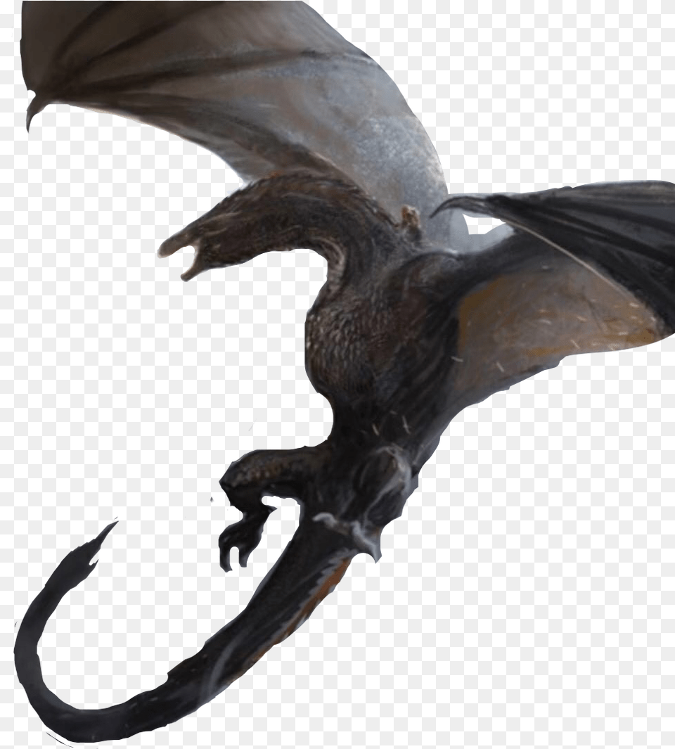 Drogon Daenerys Fire Targaryen Dragon Dragon Game Of Thrones, Animal, Bird Free Transparent Png