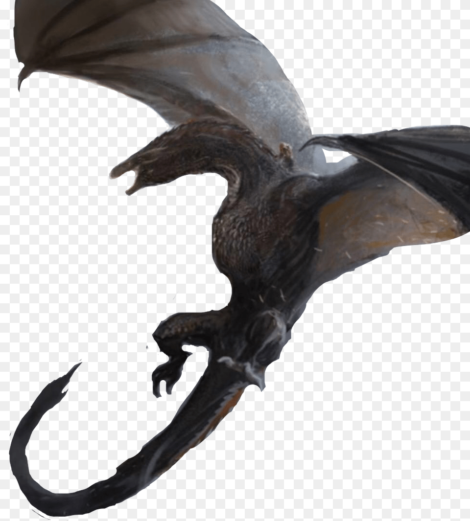 Drogon Daenerys Fire Targaryen Dragon Freetoedit Drogon Daenerys Transparent, Animal, Fish, Sea Life, Shark Free Png