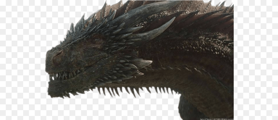 Drogon Got Smok Dragon Fantasy Monster Dragon From Game Of Thrones, Animal, Fish, Sea Life, Shark Free Png