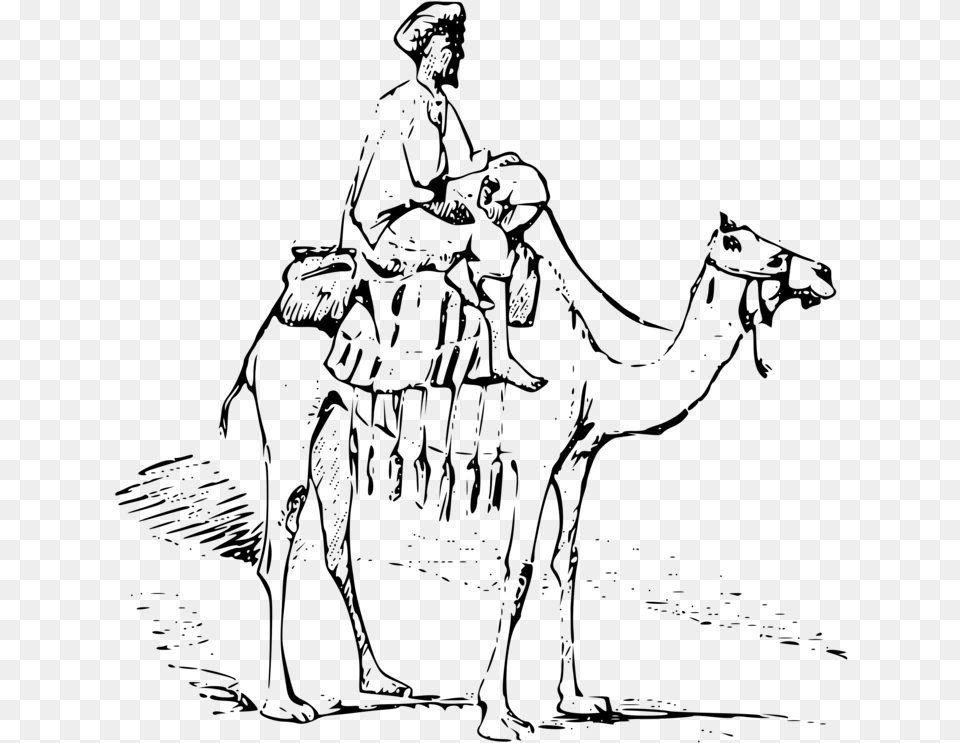 Dromedary Bactrian Camel Drawing Desert Commercial Man Riding Camel Drawing, Gray Free Png