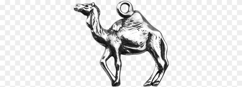 Dromedary Camel Arabian Camel, Animal, Mammal, Dinosaur, Reptile Free Transparent Png